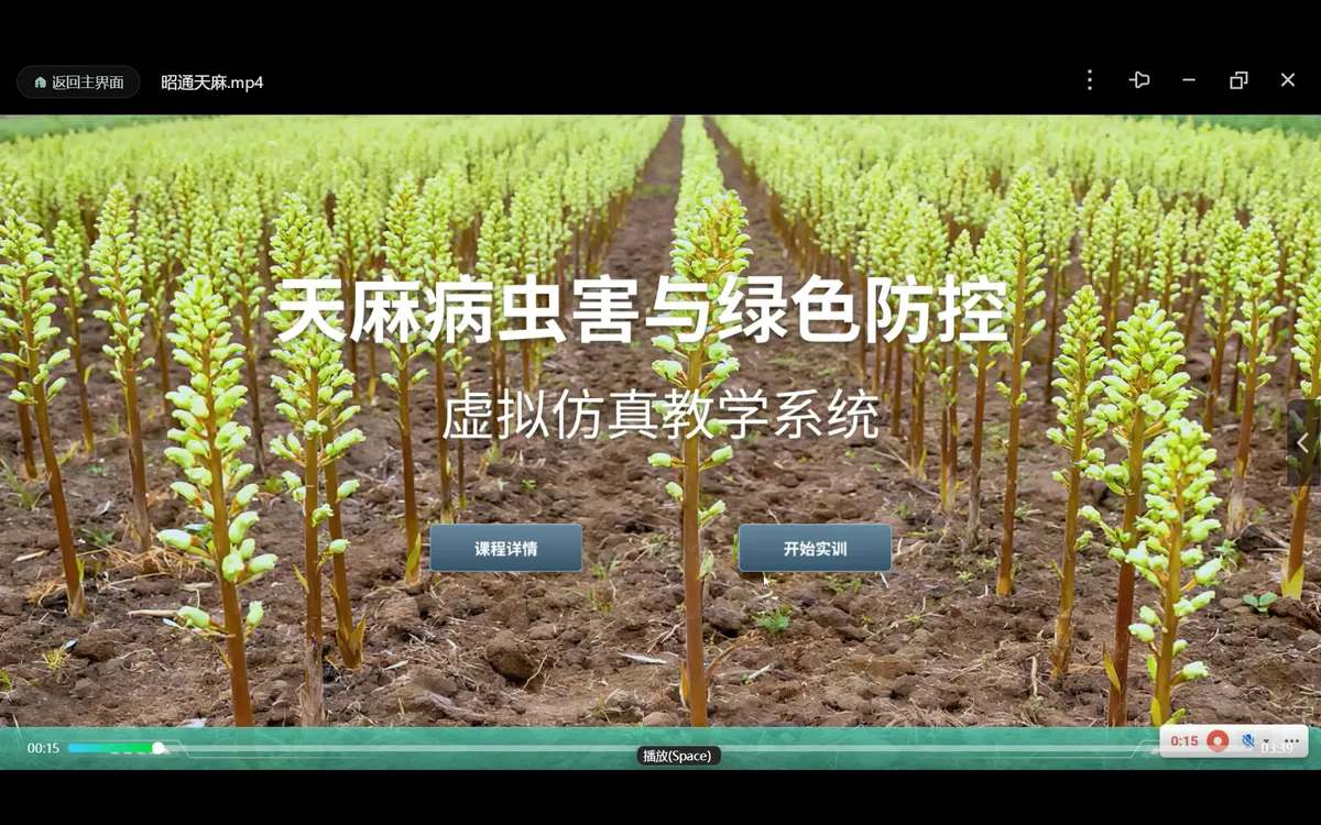 虚拟仿真+AR